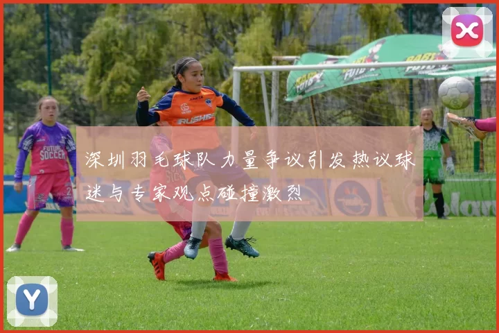 深圳羽毛球队力量争议引发热议球迷与专家观点碰撞激烈