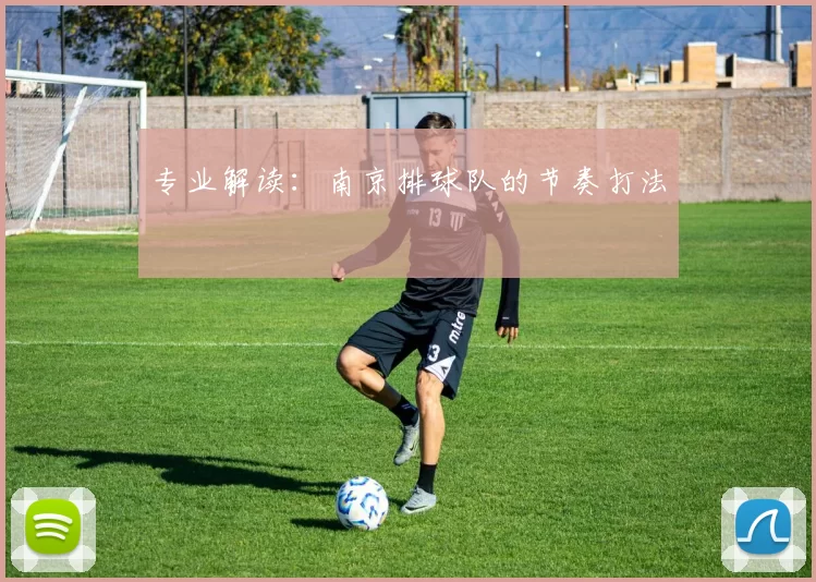 专业解读：南京排球队的节奏打法