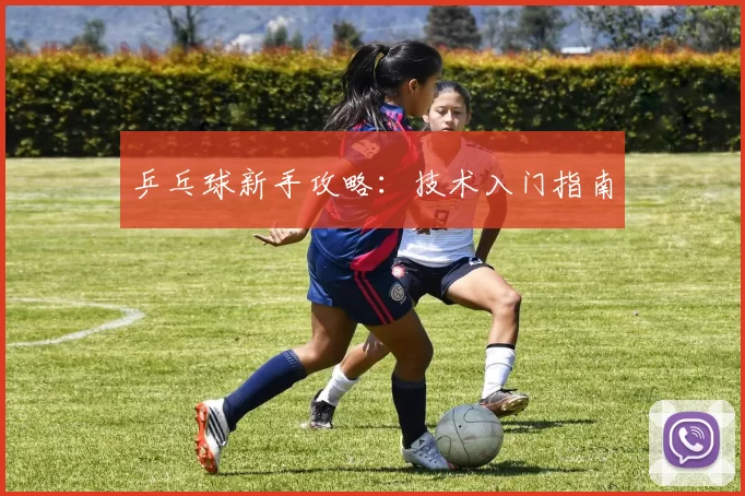 乒乓球新手攻略：技术入门指南