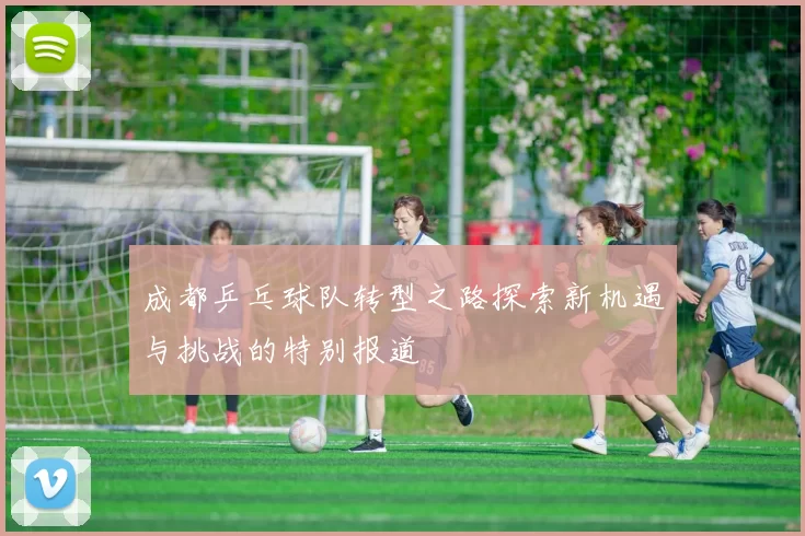 成都乒乓球队转型之路探索新机遇与挑战的特别报道