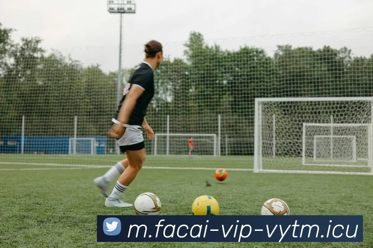 乐鱼体育APP 封面图